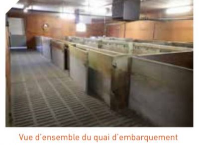Aménagement du quai