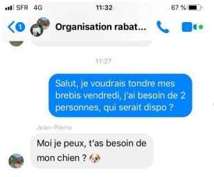 Organiser le travail en commun avec des applications de messagerie instantanée