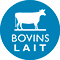 Bovin lait