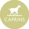 Caprin