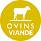 Ovin viande