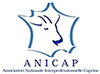 anicap